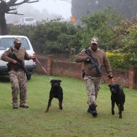 Criminals Beware, Security Dogs on Duty